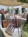 Exterior_new_2