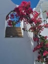 Exterior_new_3
