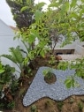 Exterior_new_5